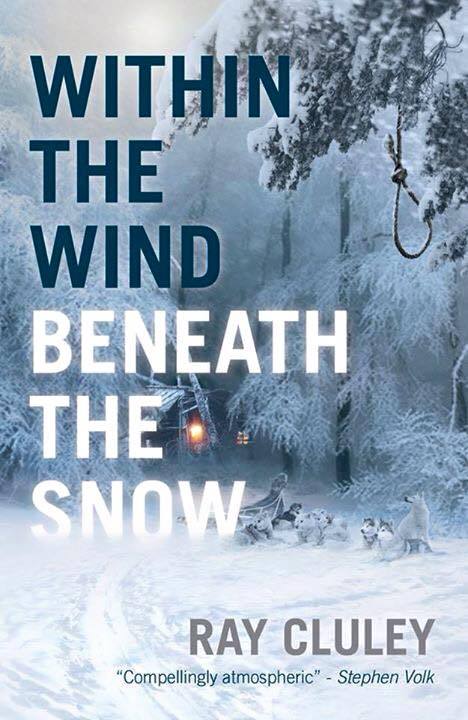Within The Wind Beneath The Snow book cover
