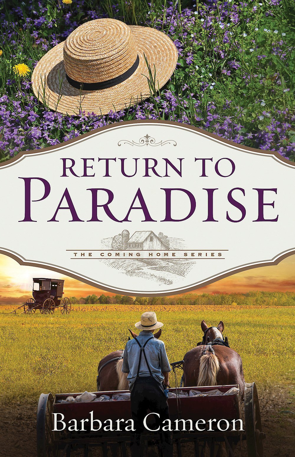 Coming Home book cover 1