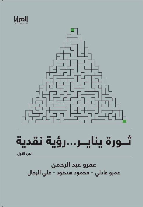 ثورة يناير... رؤية نقدية book cover