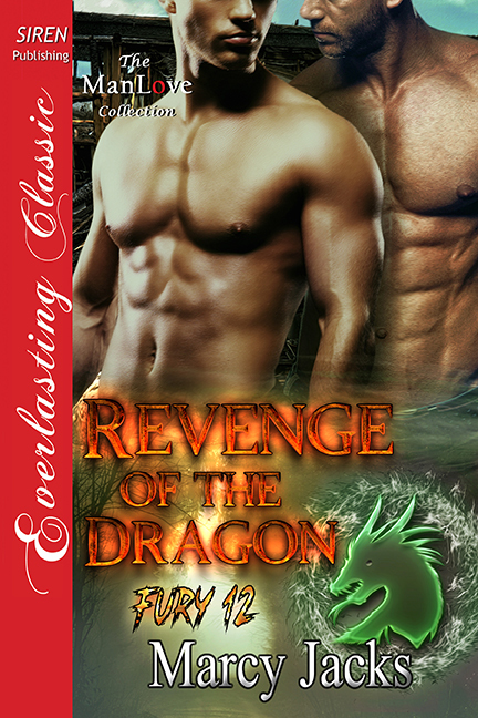 Revenge of the Dragon book cover