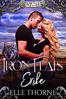 Iron Flats Exile book cover