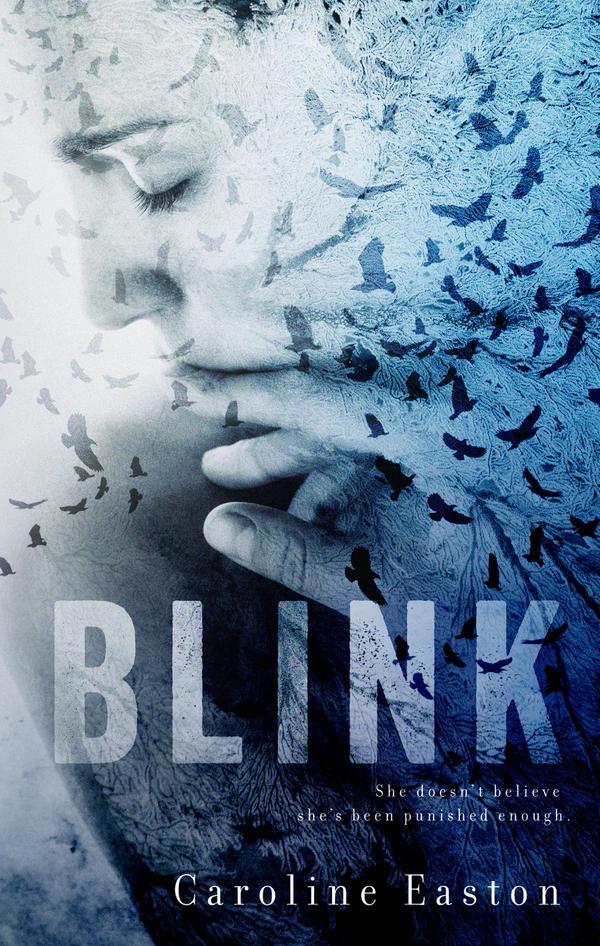 Blink book cover