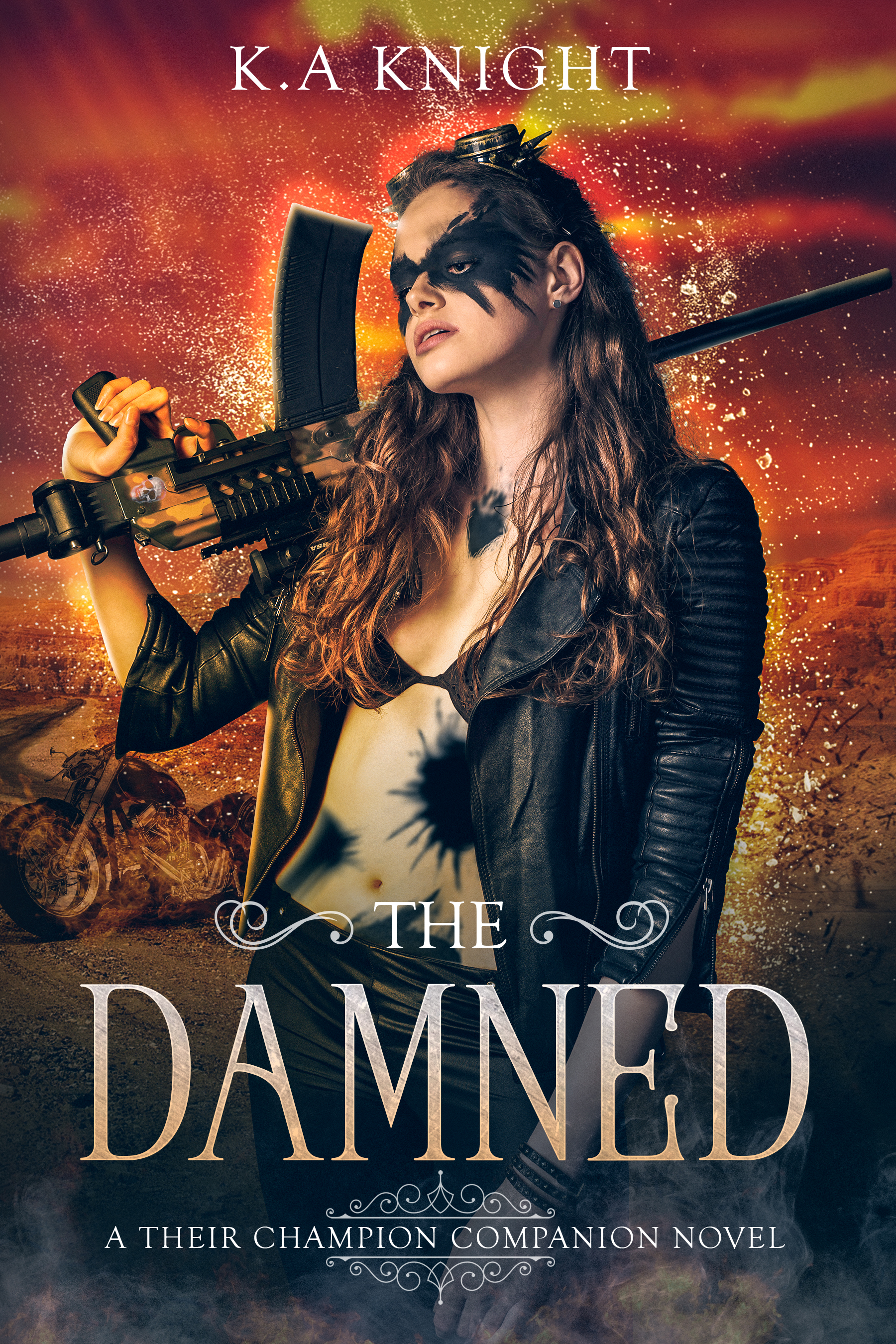 Their Champion Companion Novel book cover 3
