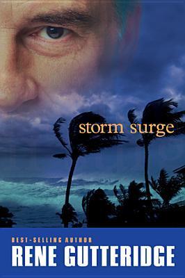 Storm book cover 3