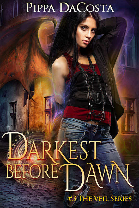 The Veil book cover 3