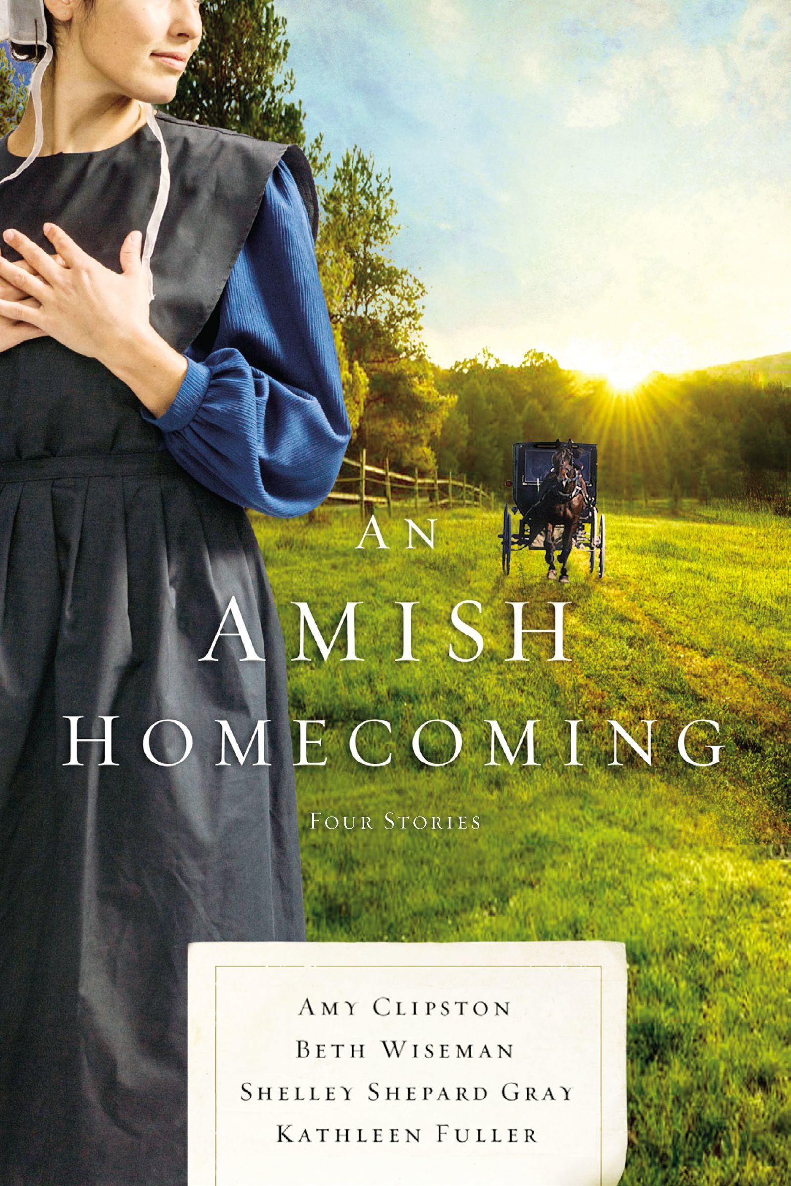 An Amish Homecoming book cover