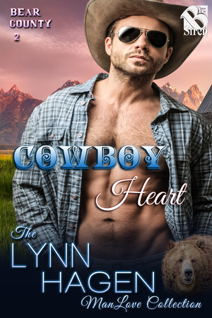 Bear County book cover 2