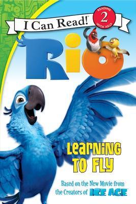 Learning to Fly book cover