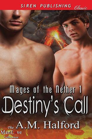 Mages of the Nether book cover 1