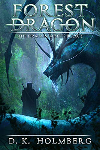 The Dragon Misfits book cover 3