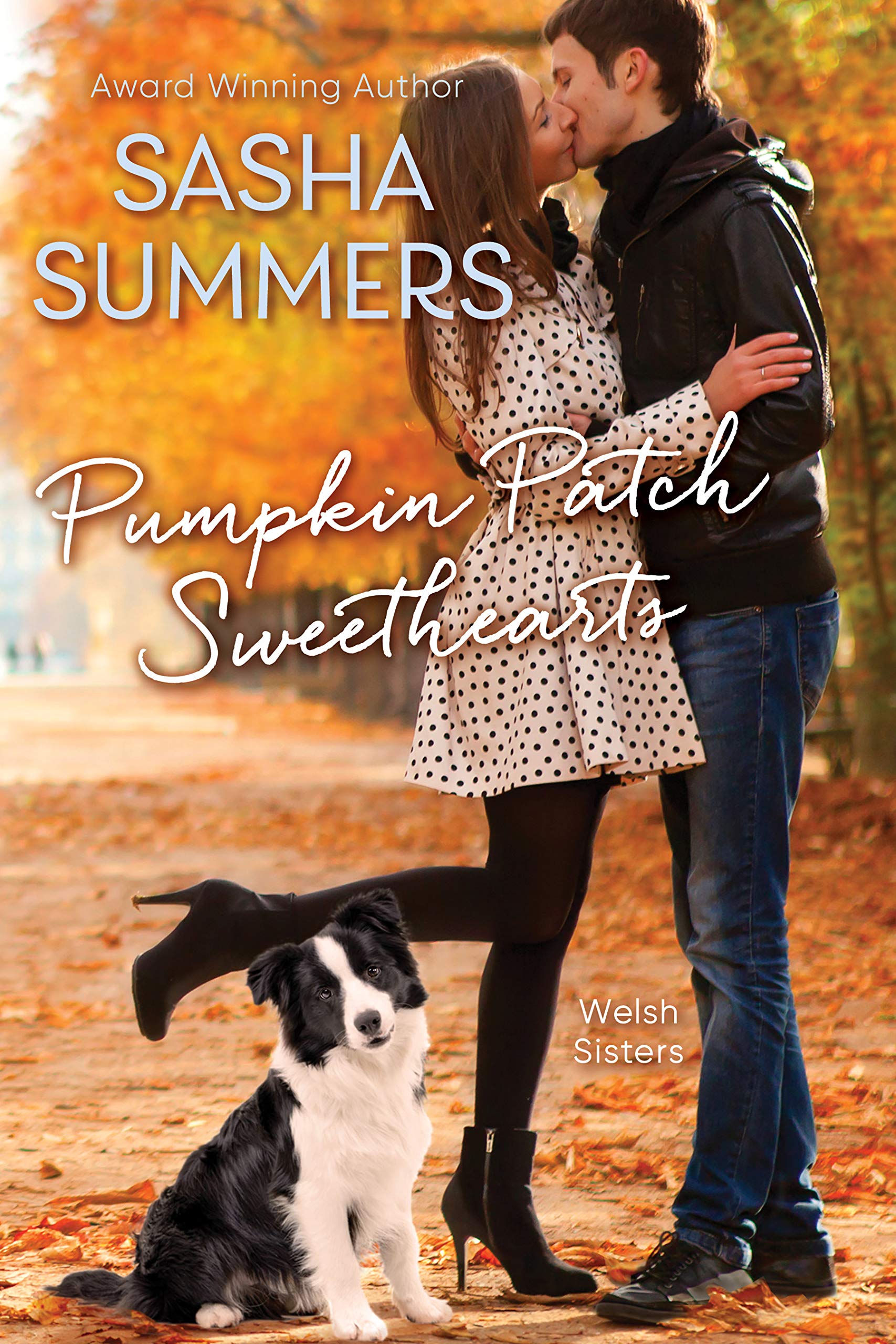 The Welsh Sisters book cover 2
