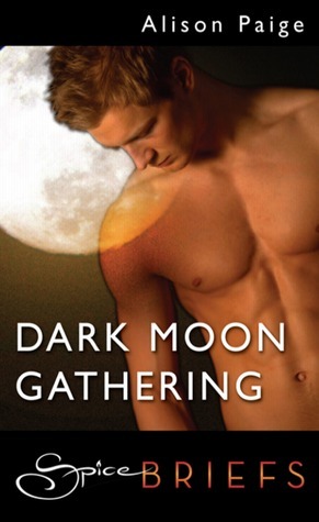 Dark Moon Gathering book cover