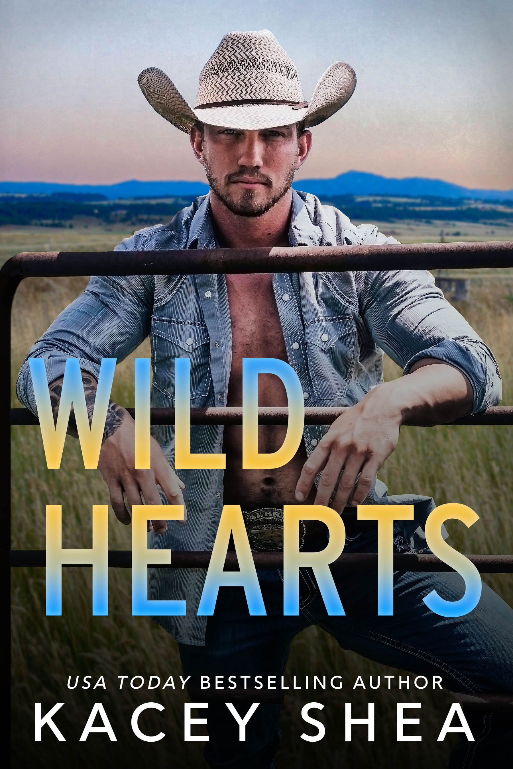 Wilder Valley book cover 1