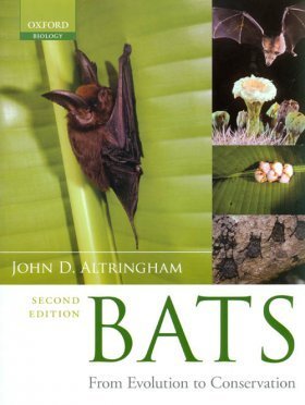 Bats book cover