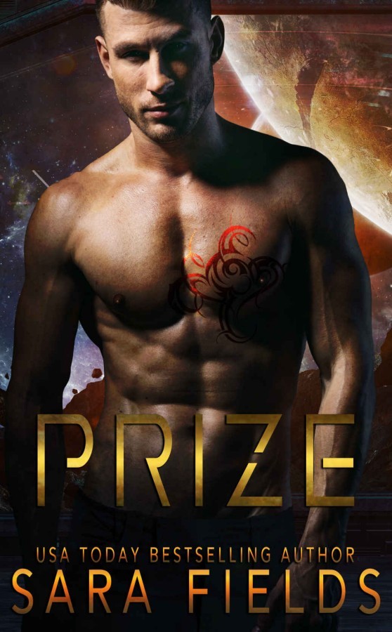 Prize book cover