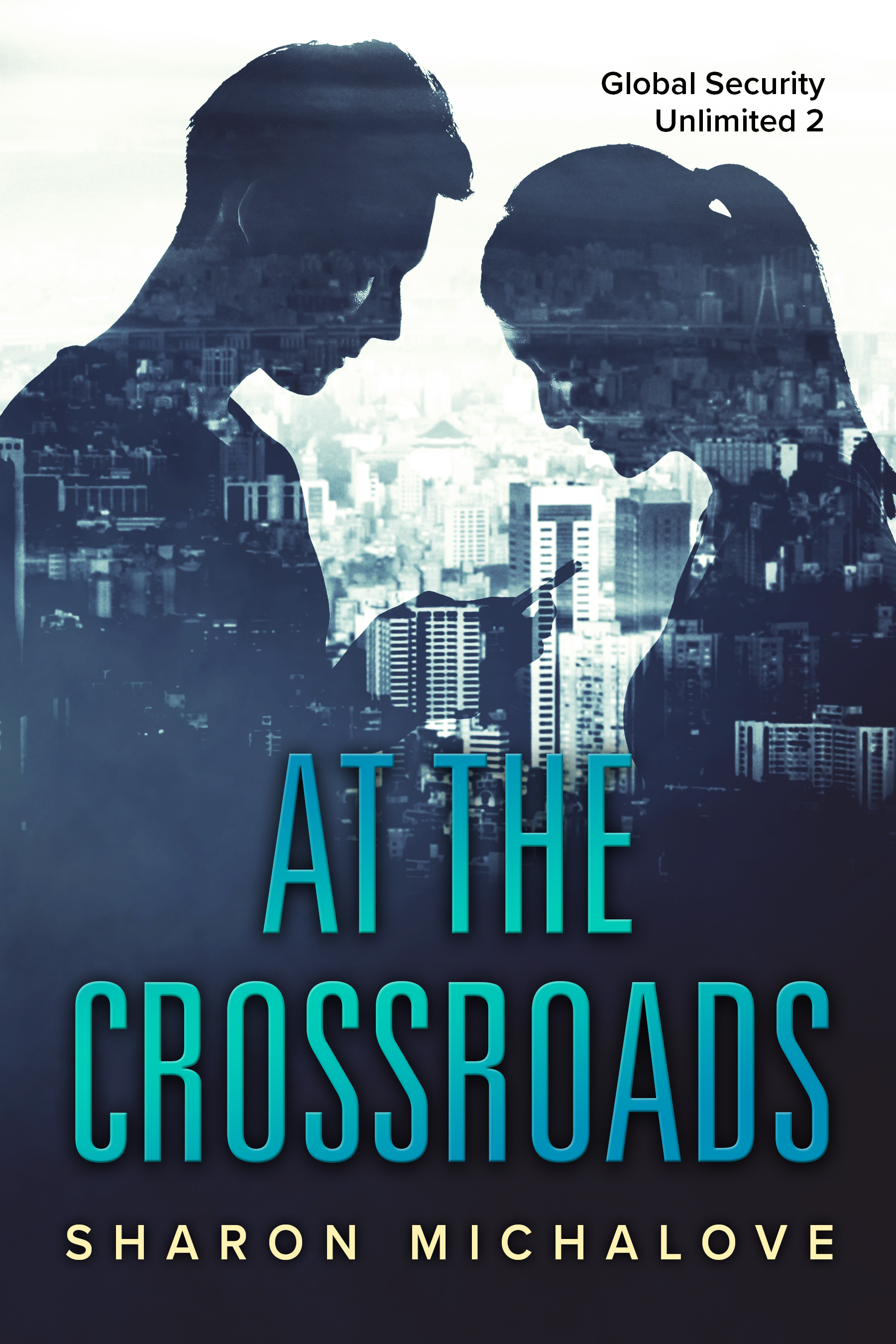 Global Security Unlimited book cover 2