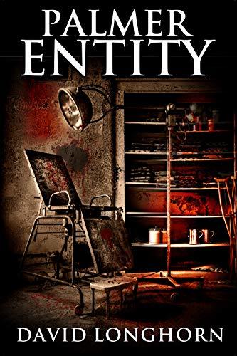 Asylum book cover 2