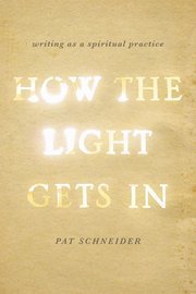 How the Light Gets In book cover