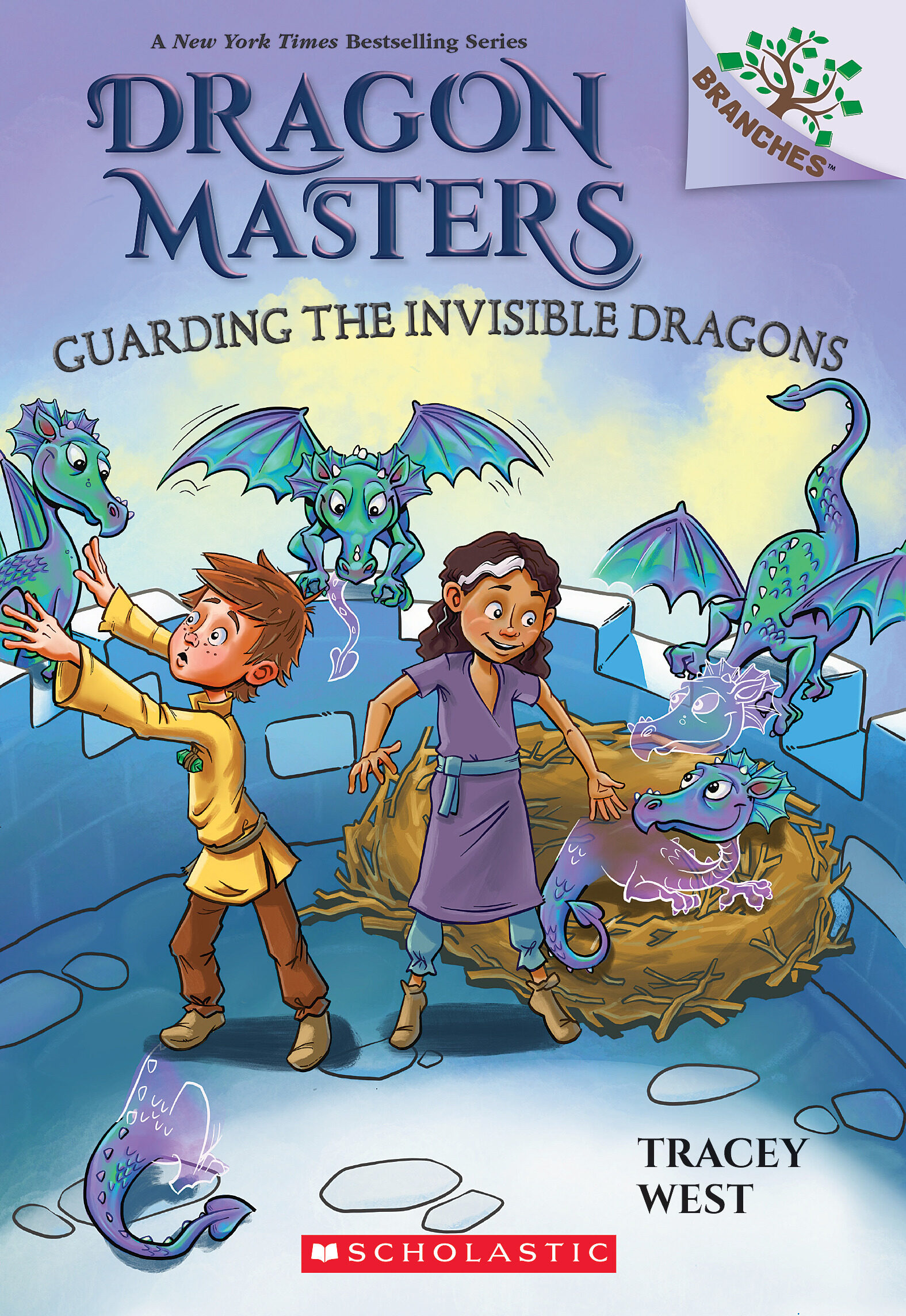 Guarding the Invisible Dragons book cover