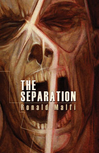 The Separation book cover