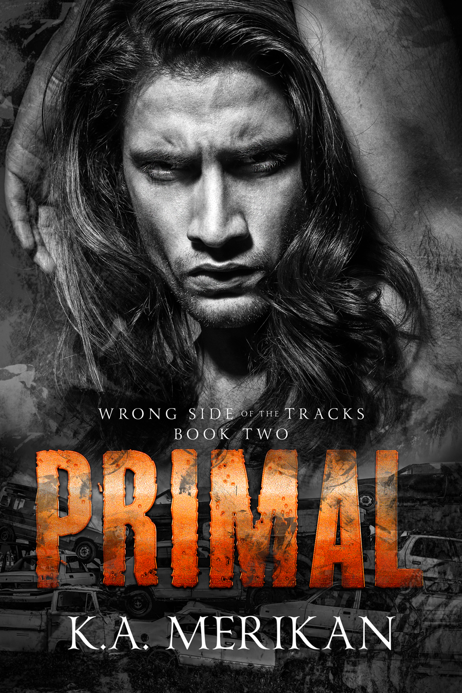 Wrong Side of the Tracks book cover 2