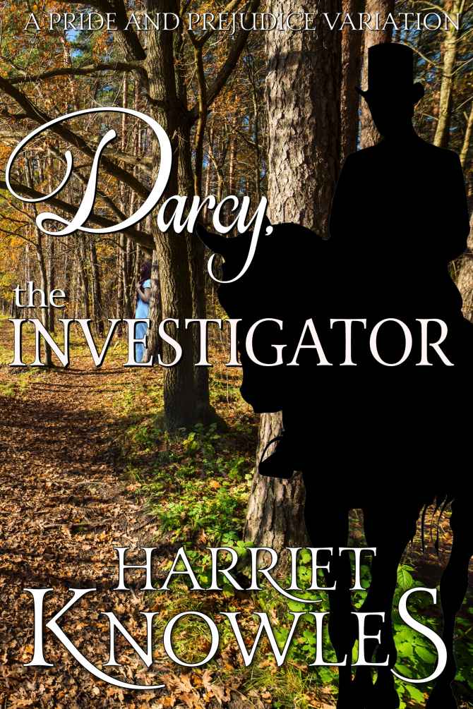 The Diverse Lives of Fitzwilliam Darcy book cover 2