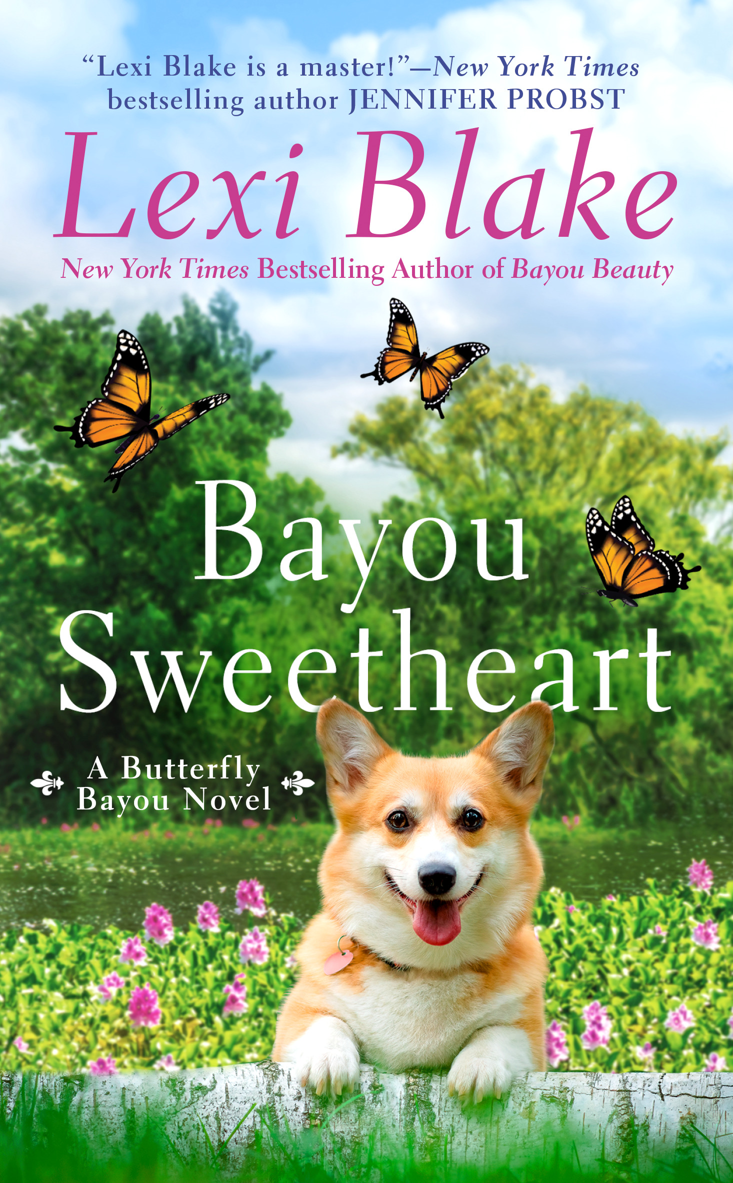 Bayou Sweetheart book cover