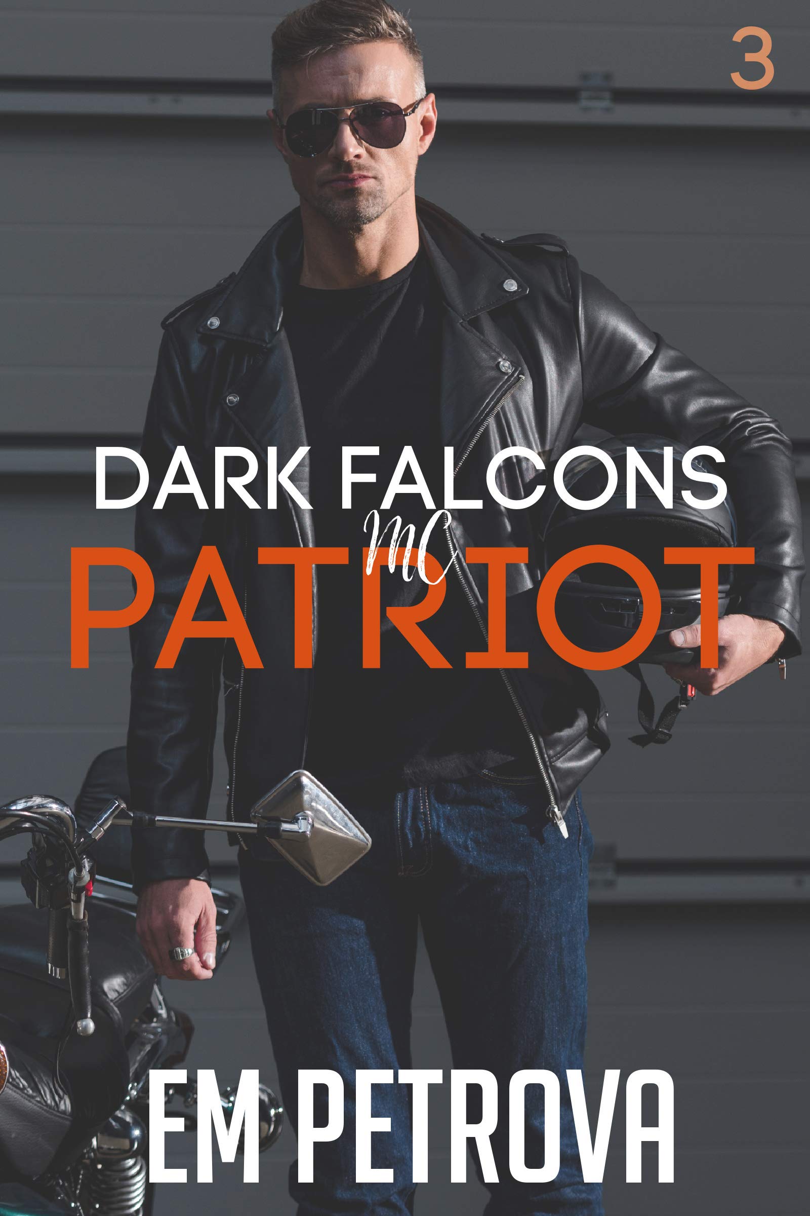 Dark Falcons book cover 2