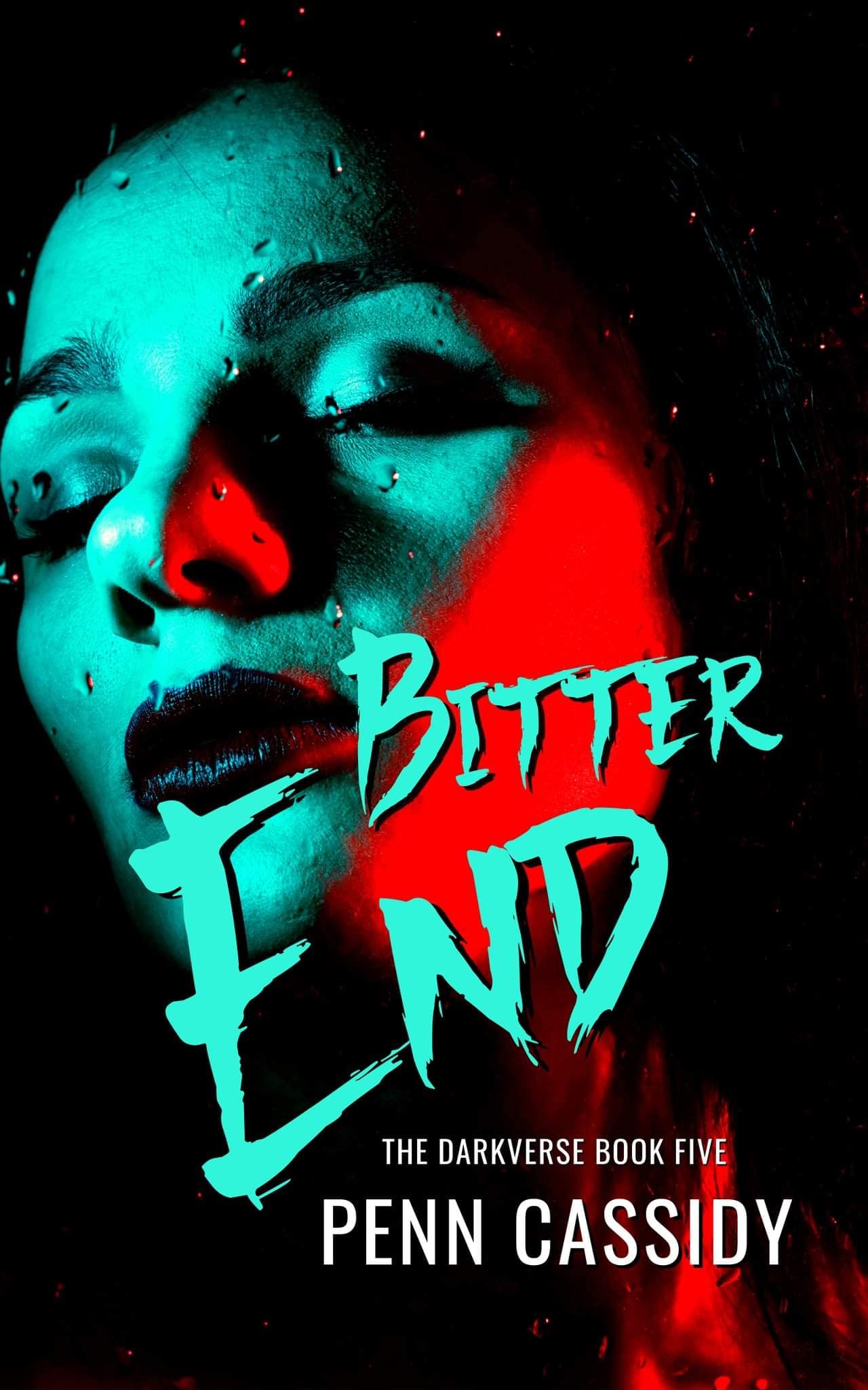 Bitter End book cover