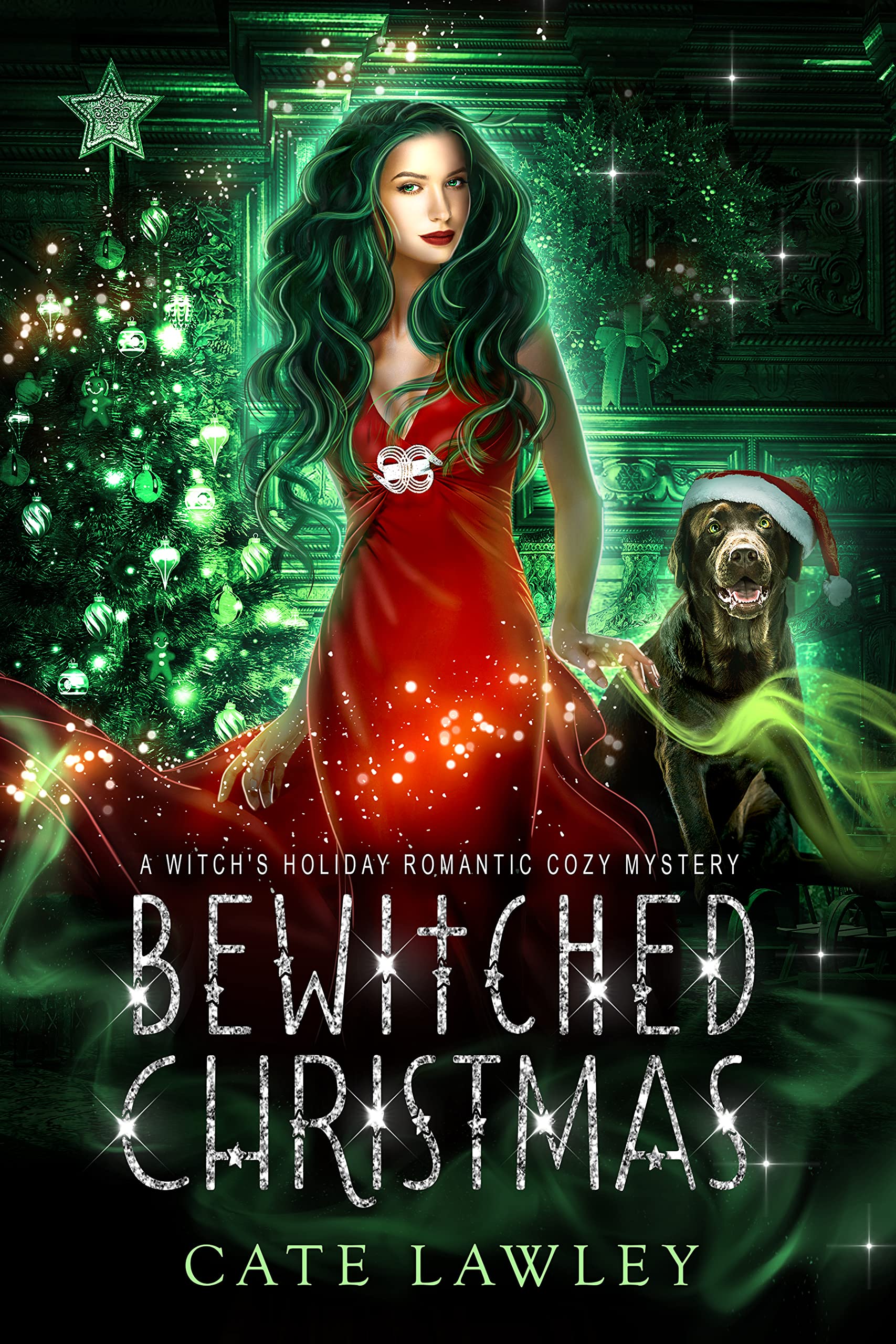 Bewitched Christmas book cover