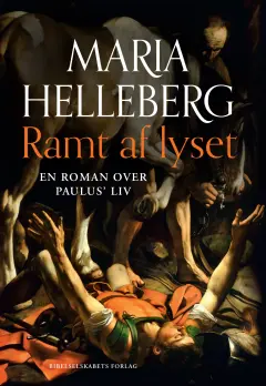 Ramt af lyset book cover