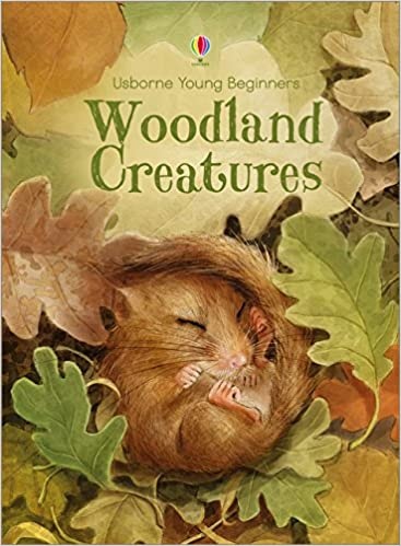 Woodland Creatures book cover