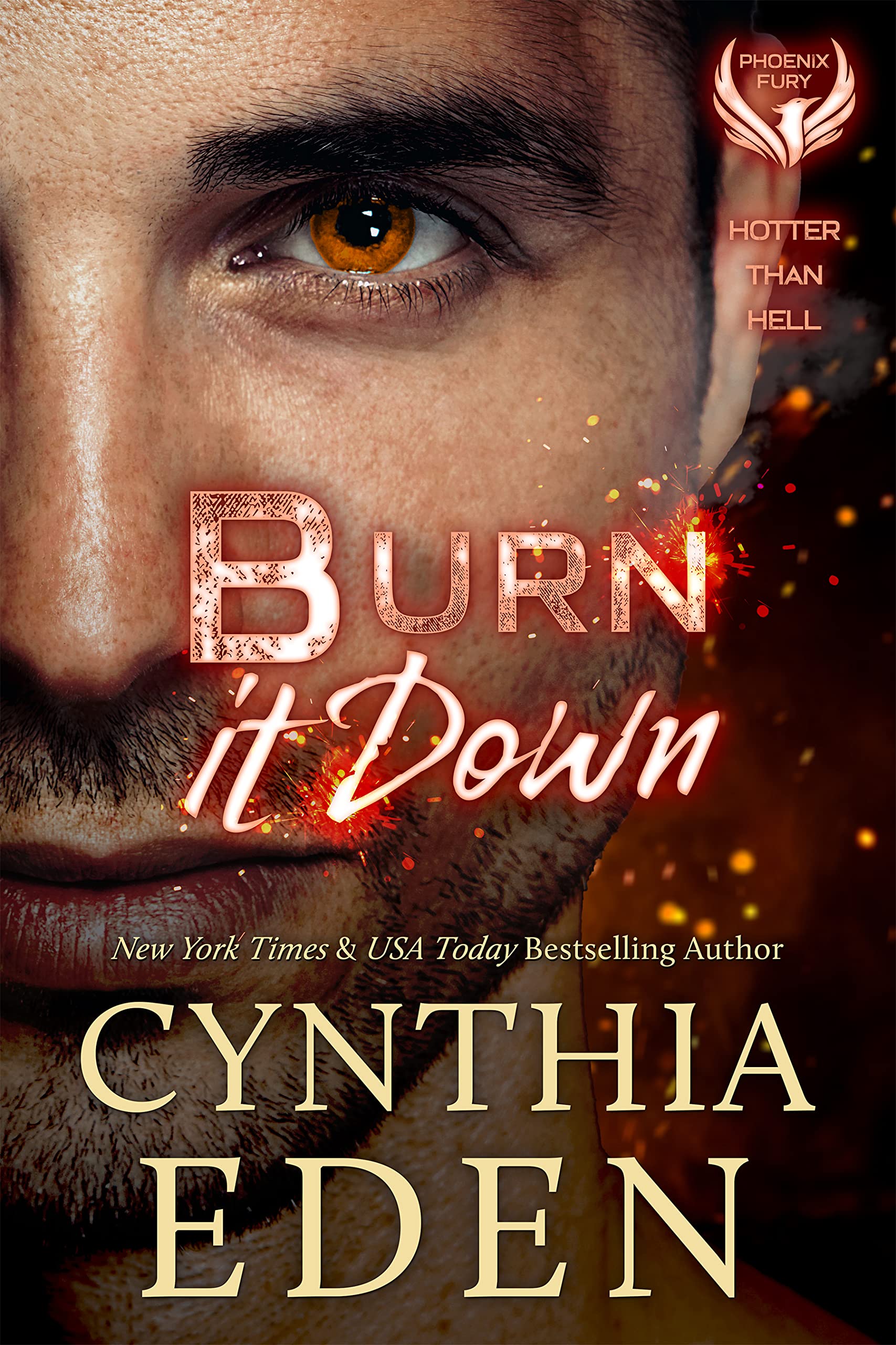 Burn It Down book cover