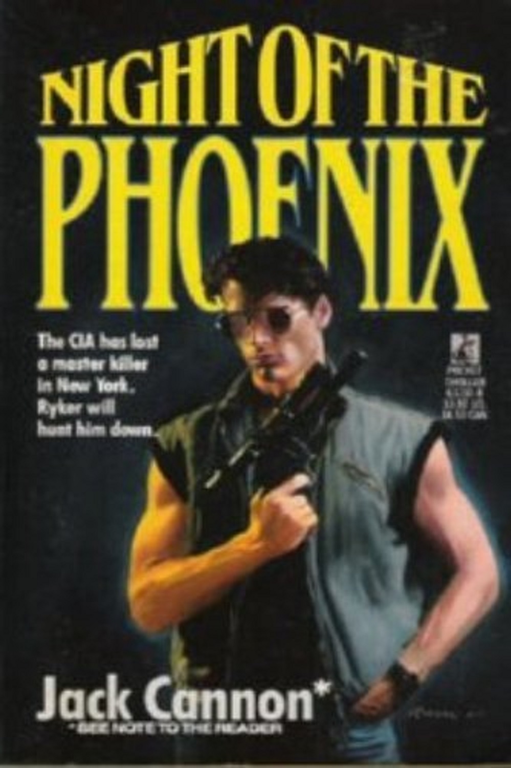 Night of the Phoenix book cover