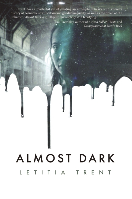 Almost Dark book cover