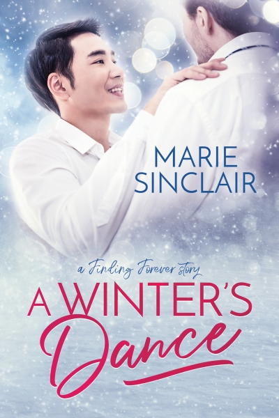 A Winter's Dance book cover