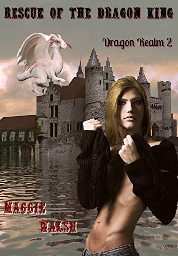 Dragon Realm book cover 1