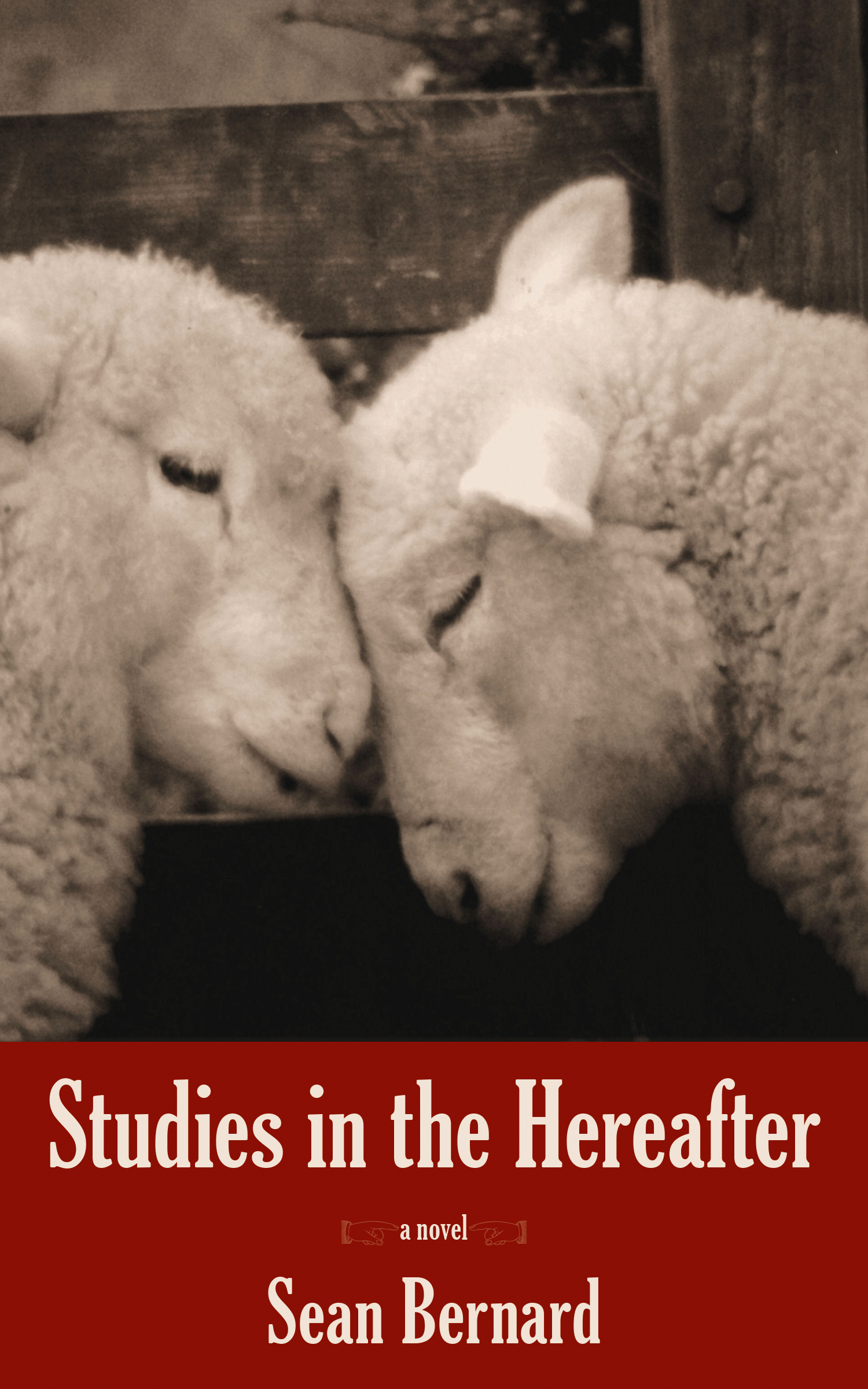 Studies in the Hereafter book cover