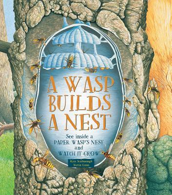 A Wasp Builds a Nest book cover