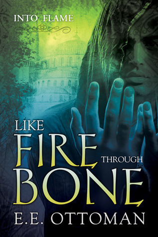 Like Fire Through Bone book cover