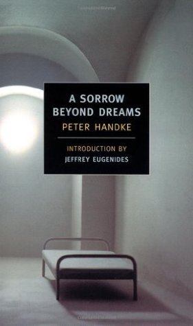 A Sorrow Beyond Dreams book cover