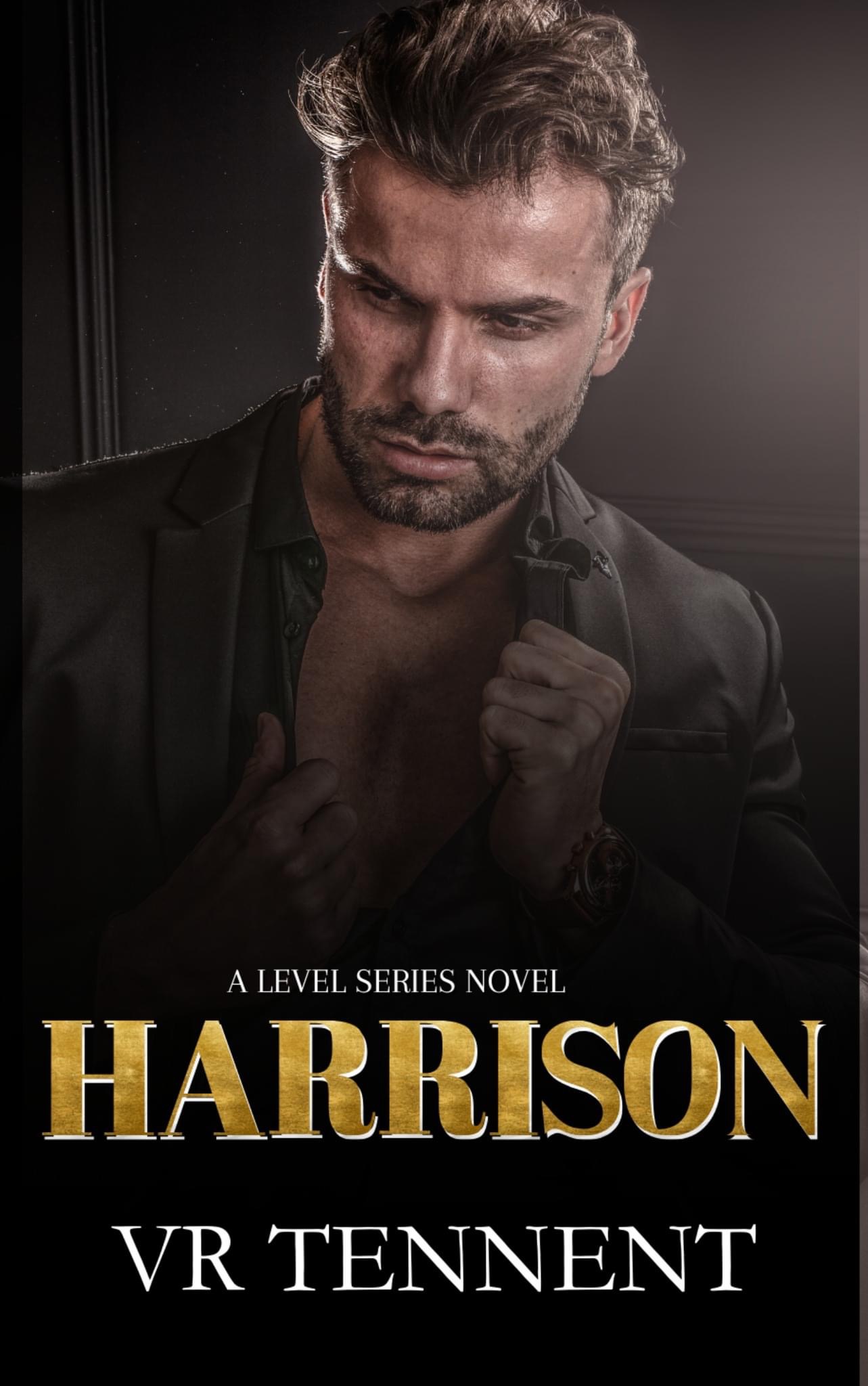 The Level book cover 1