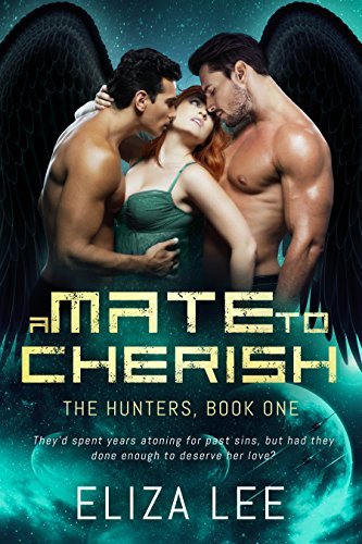 The Hunters book cover 1