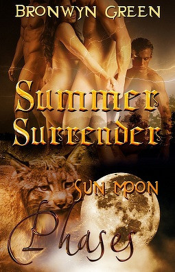 Summer Surrender book cover