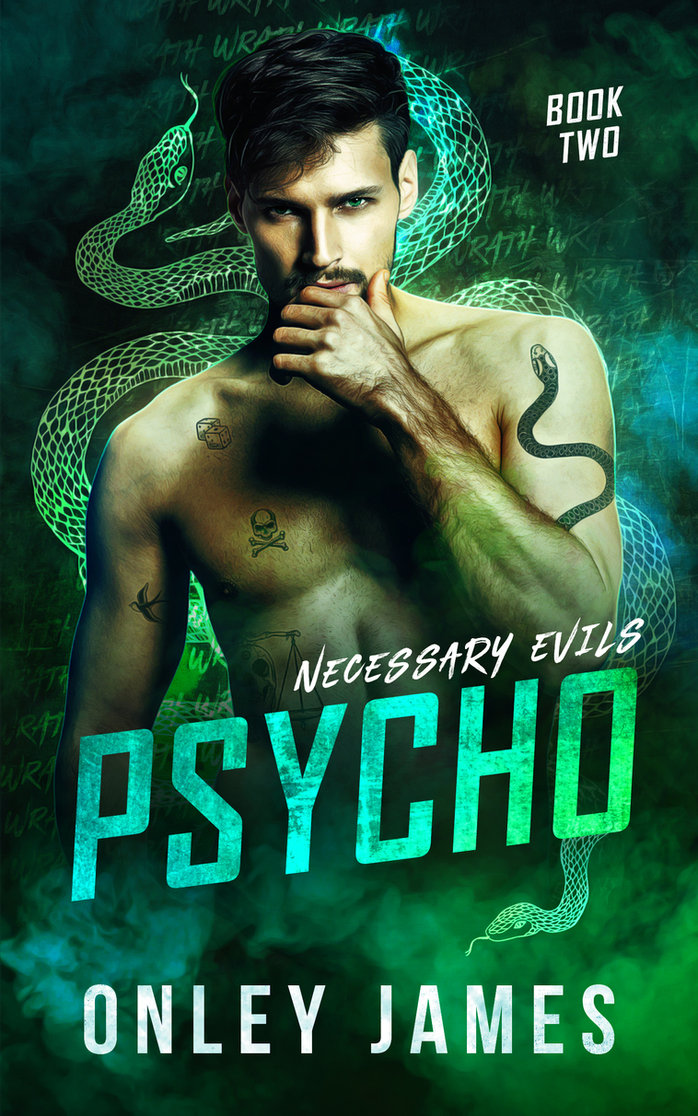 Necessary Evils book cover 2