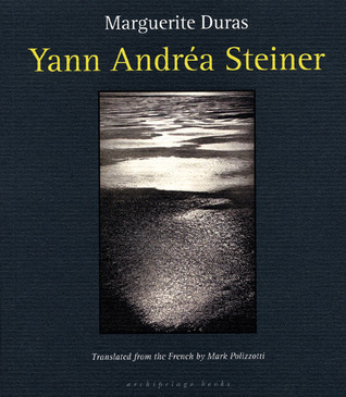 Yann Andrea Steiner book cover