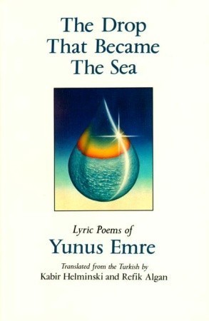 The Drop That Became the Sea book cover