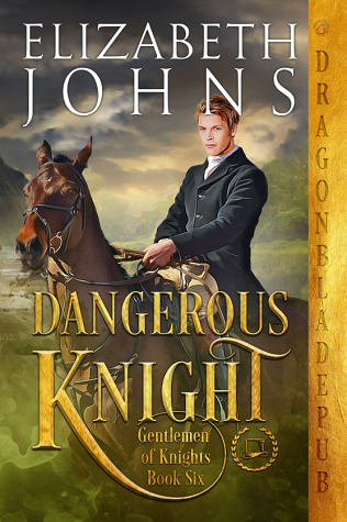 Dangerous Knight book cover