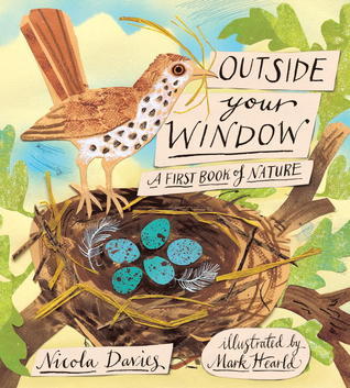 Outside Your Window book cover