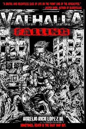 Valhalla Falling book cover